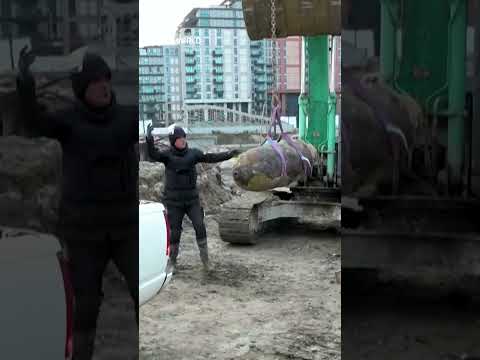 Unexploded 470kg WWII bomb found and removed in Belgrade