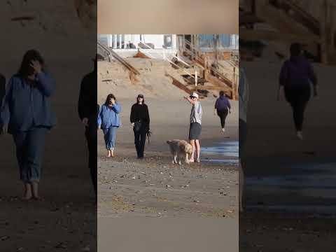 Romy Reiner and brother Jake Reiner spotted on beach in Malibu #shorts
