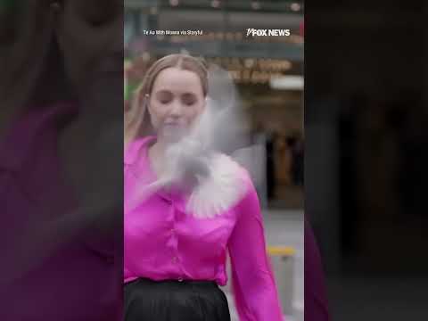 Reporter is interrupted when a bird dive-bombs right into her face