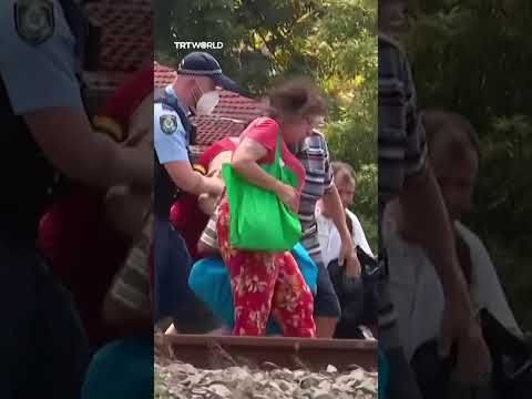 Wildfires destroy thousands of hectares of bushland in New South Wales