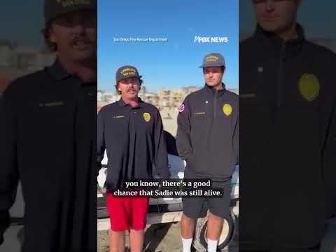 DOGGONE LUCKY: California lifeguards rescue dog from rip currents #shorts #usa #us #dog #dogs