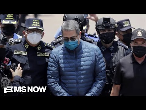 ‘Rewards his friends’: Judge muses Trump using pardons to buy votes