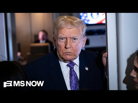 ‘We need to abolish the pardon power’: Trump slams Democrat filing for reelection despite pardon