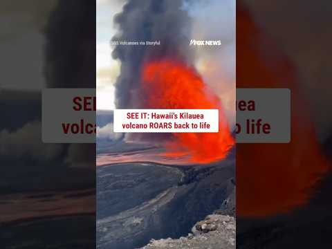 SEE IT: Hawaii’s Kilauea volcano ROARS back to life #shorts #us #news #volcano