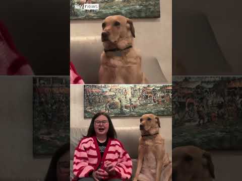 Experimental treatment leaves teen cancer free