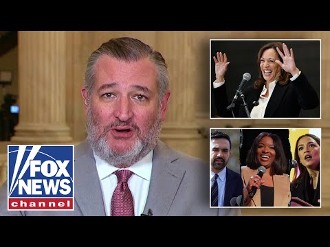 Ted Cruz: Harris, Crockett, Mamdani and AOC should go on tour