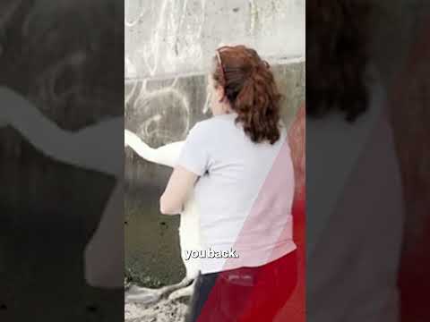 Beloved NYC swan couple torn apart after bird killed by rock-wielding maniac #shorts