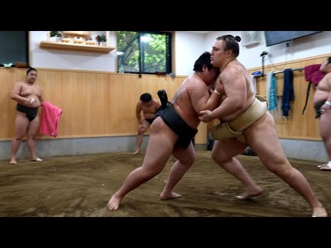 Ukrainian sumo wrestler Aonishiki, 21, conquers fans in Japan • FRANCE 24 English