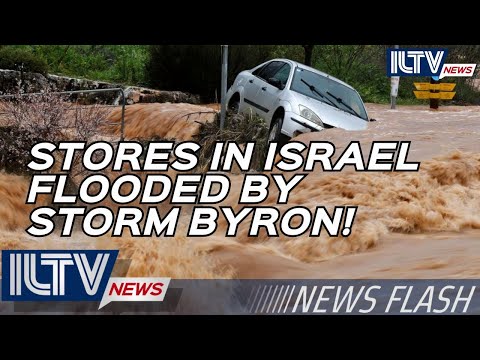 ILTV Evening News Flash – December 11, 2025