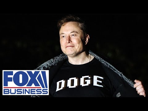 Elon Musk believes DOGE ‘was a little bit successful’