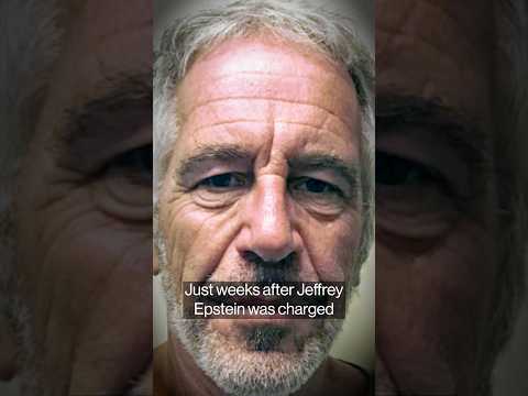 Epstein emails reveal he had huge amount of access to Wall Street