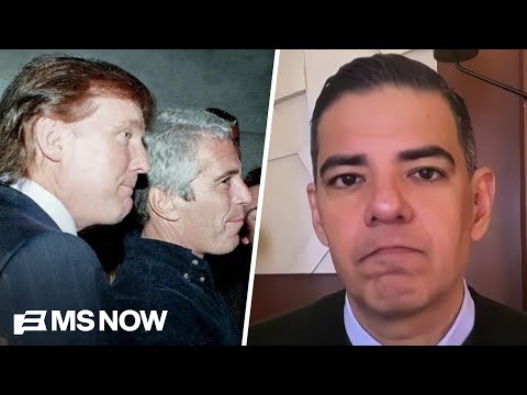 Trump’s been ‘trying to hide’ the Epstein files since Day 1: Rep. Garcia