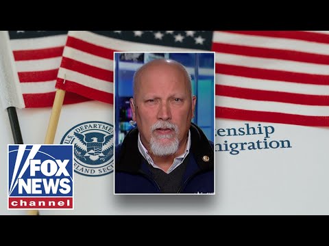 ‘FIX OUR SYSTEM’: GOP lawmaker calls for end to birthright citizenship