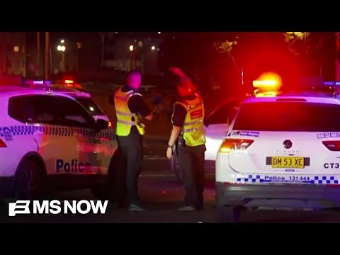 At least 11 killed in shooting targeting Jewish celebration at Bondi beach