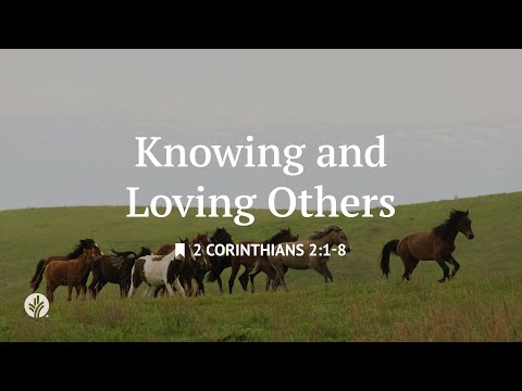 Knowing and Loving Others | Audio Reading | Our Daily Bread Devotional | December 15, 2025