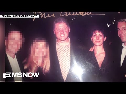 Democrats release more Epstein estate photos