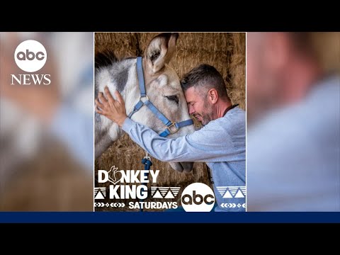 New docuseries highlights the rescue and rehabilitation of donkeys