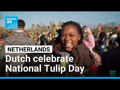 Netherlands ushers in Spring with National Tulip Day celebration • FRANCE 24 English