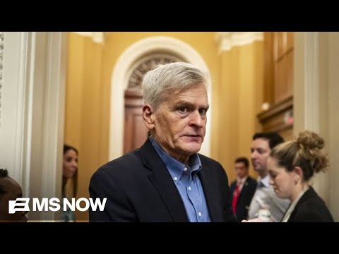 Trump backs potential challenger in Louisiana Senate race