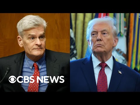 Trump endorses Bill Cassidy’s potential primary challenger in Louisiana