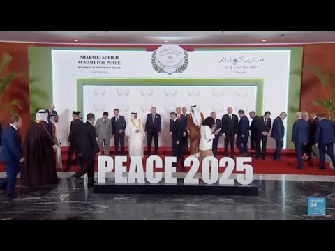 Trump’s ‘Board of Peace’ proposal met with skepticism • FRANCE 24 English