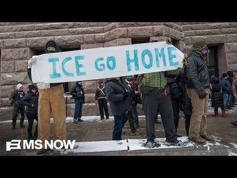 ‘The constitution is out the window’: Ex-FBI agent responds to ICE violence in Minneapolis