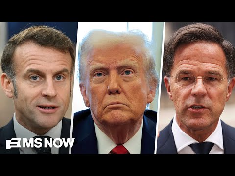 ‘I do not understand what you are doing in Greenland’: Trump shares texts from Macron, Rutte