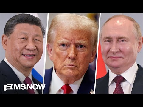 Xi and Putin ‘are popping champagne’ because of Trump’s actions: Foreign policy expert