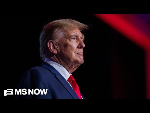 ‘He’s getting worse’: Democracy Docket founder reacts to one year of second Trump admin