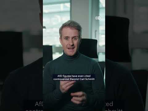 Does the AfD have a Trump dilemma? | DW News