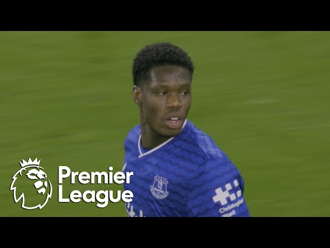Thierno Barry’s header brings Everton within two of Brentford | Premier League | NBC Sports