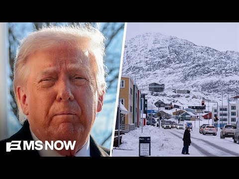 Trump’s threats on Greenland and tariffs ‘have fundamentally destabilized’ NATO: Dem Rep.
