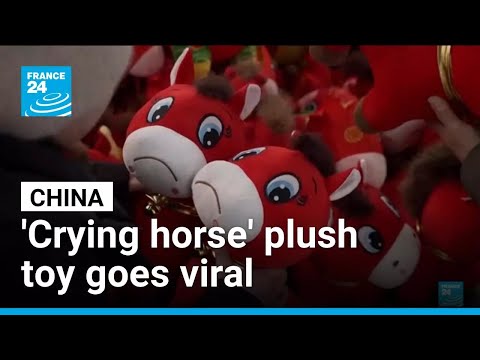 China’s accidental ‘crying horse’ plush toy goes viral • FRANCE 24 English
