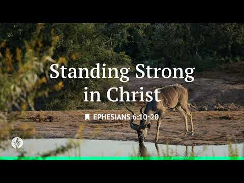 Standing Strong in Christ | Audio Reading | Our Daily Bread Devotional | January 29, 2026