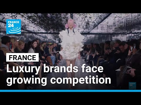 French luxury brands face growing competition from ultra-fast-fashion • FRANCE 24 English