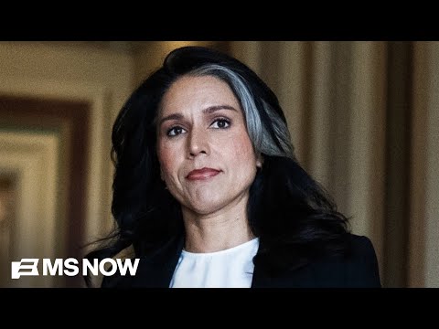 What is Tulsi Gabbard doing in Fulton County? Sen. Warner slams ‘bizarre’ raid