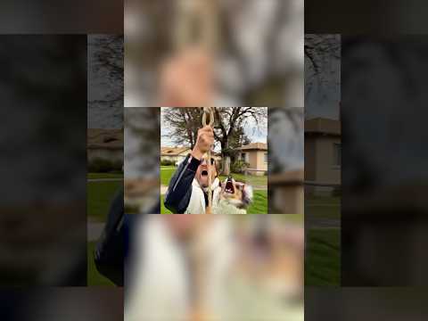 Reach For The Sky! | #livingwaters