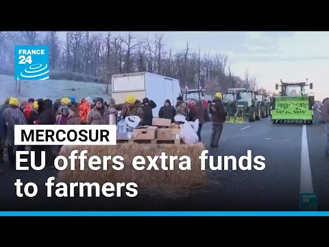 EU offers extra funds to farmers in hope to close Mercosur deal amid protests • FRANCE 24 English
