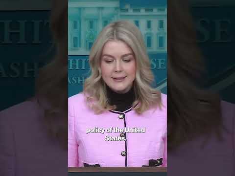 Leavitt Slams Russia’s Tanker Request: ‘Crew Will Be Prosecuted’ #shorts