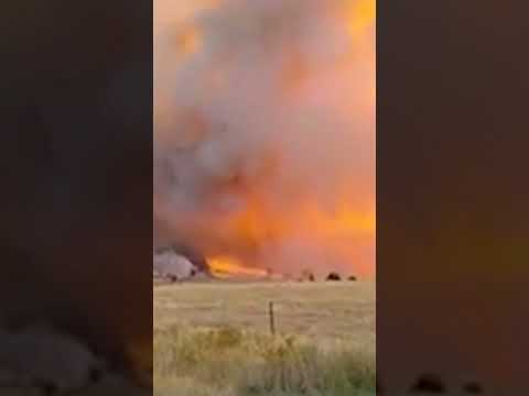 Catastrophic Bushfires Rip Through Australia #shorts