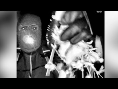 Where the Nancy Guthrie investigation stands on Day 17