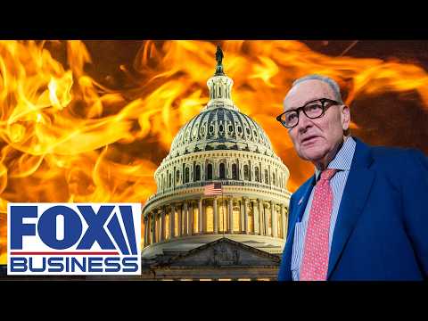 ‘INFLICT PAIN’: GOP rep EXPOSES Schumer’s strategy against Americans