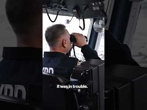 NYPD officers save bald eagle stranded on ice in Hudson #shorts