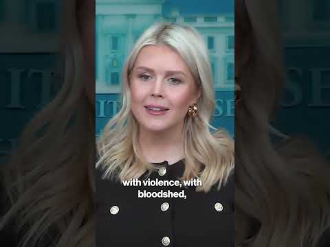 White House breaks silence on Vatican’s Board of Peace snub #shorts