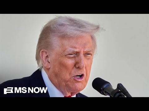 Trump calls Supreme Court ‘a disgrace to our nation’ after striking down his tariff policy