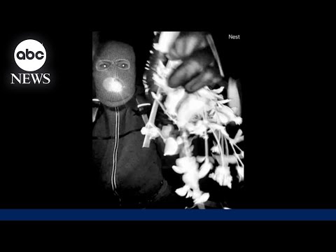 Masked man on Nancy Guthrie’s doorstep may have had accomplice, sheriff’s office says