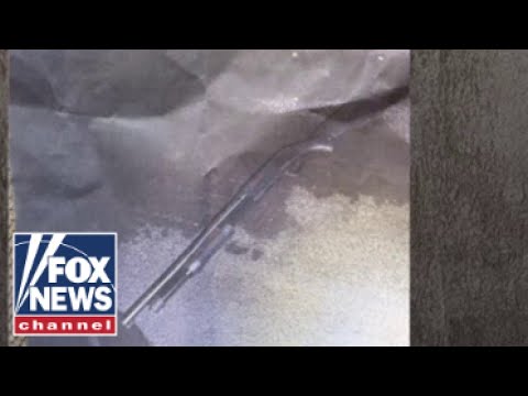 DETAILS: Mar-a-Lago gunman raised shotgun before he was shot, killed by officials