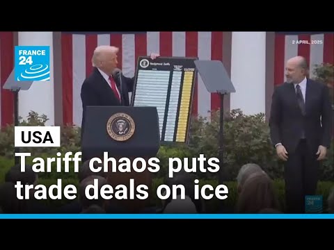 US trade deals thrown into doubt after Trump’s new tariffs • FRANCE 24 English