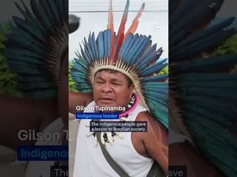 Indigenous protesters celebrate as Brazil revokes Amazon waterway decree | DW News