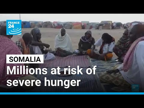 Millions in Somalia at risk of severe hunger from drought, says UN • FRANCE 24 English
